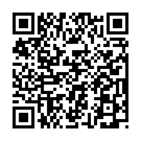 QR code for SI38491