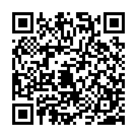 QR code for SI52866