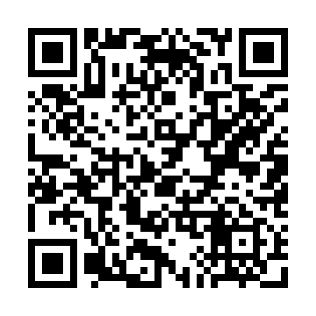 QR code for SI5919