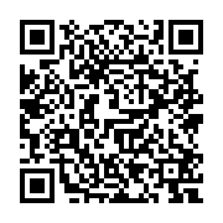 QR code for SI91029