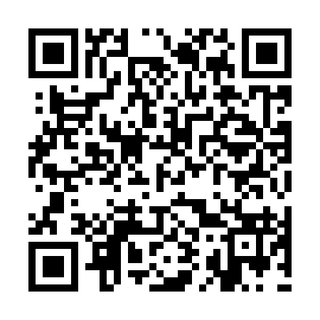 QR code for SI9993
