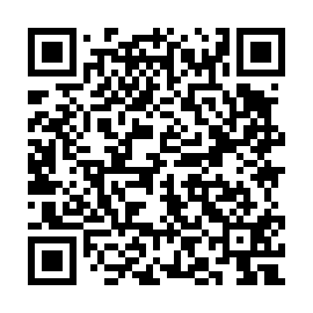 QR code for SII411