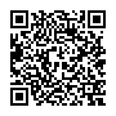 QR code for SJ51333