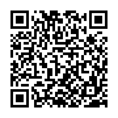 QR code for SJ9916