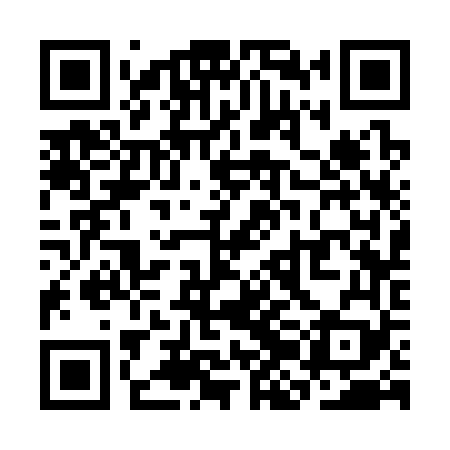 QR code for SJC369