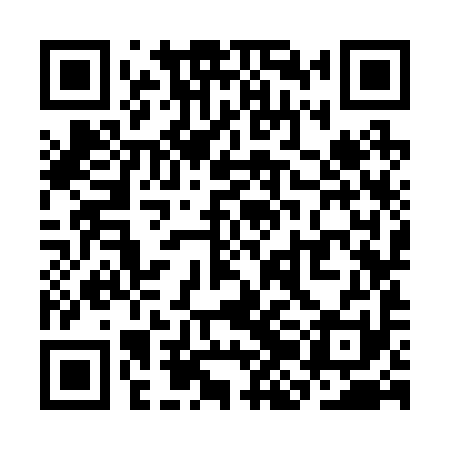 QR code for SJK291
