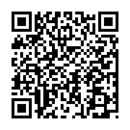 QR code for SK29228