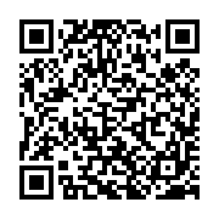 QR code for SKF497