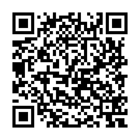 QR code for SKH919