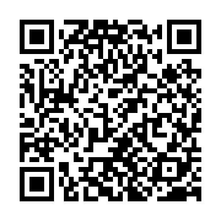 QR code for SKK208