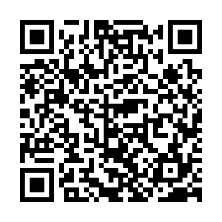 QR code for SKV334