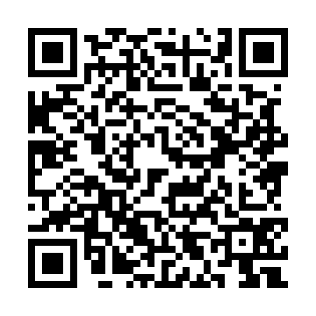 QR code for SL85741