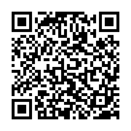 QR code for SLN203