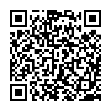QR code for SLR493