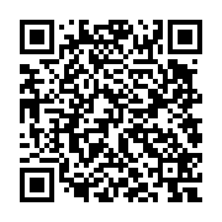 QR code for SLV429