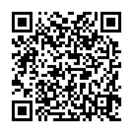 QR code for SLX382