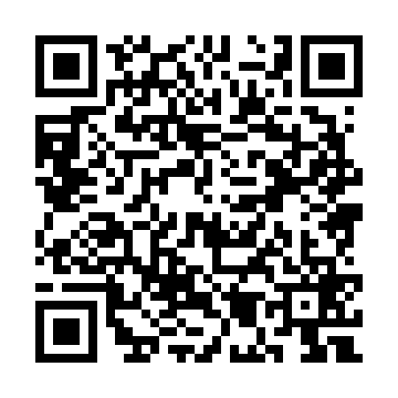 QR code for SM86698