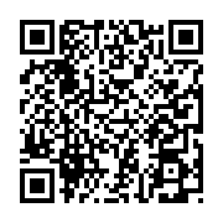 QR code for SM87641