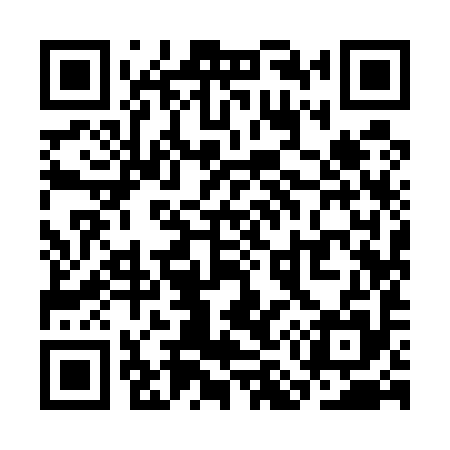QR code for SM9595