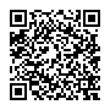QR code for SN00294