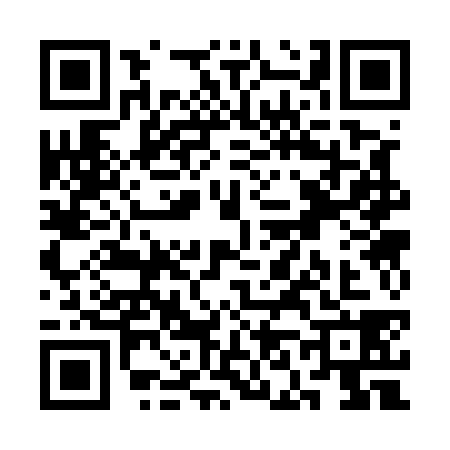 QR code for SN35381