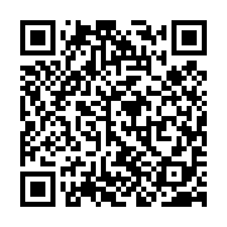 QR code for SNE498