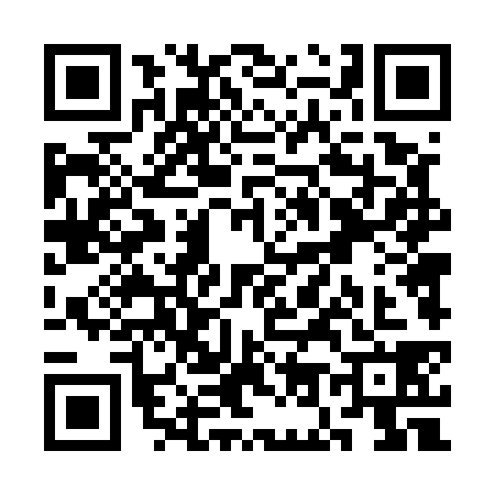 QR code for SO45383
