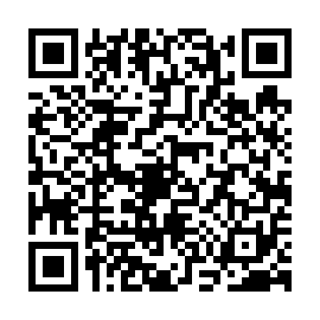 QR code for SO46518