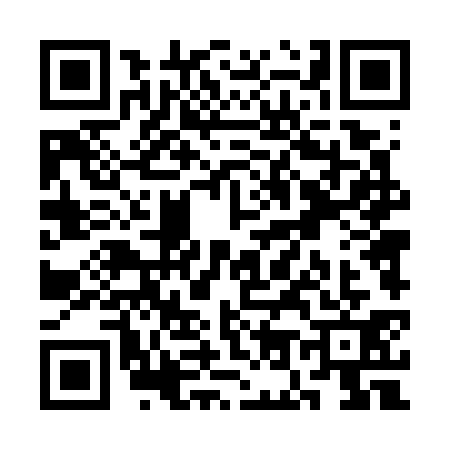 QR code for SO47313