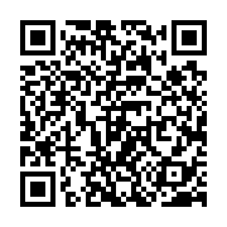 QR code for SO4738