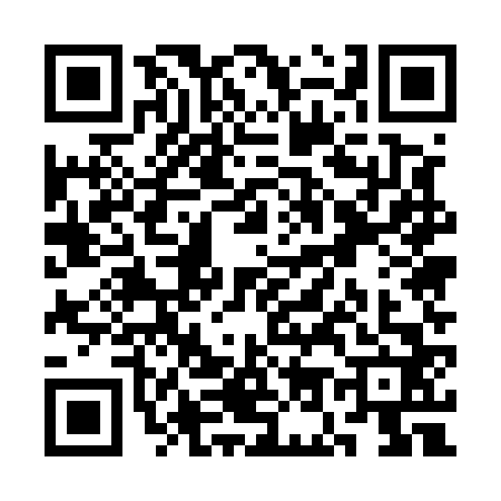 QR code for SO55625