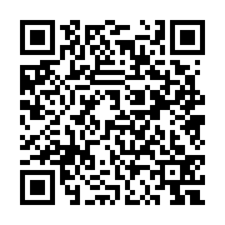 QR code for SR07333