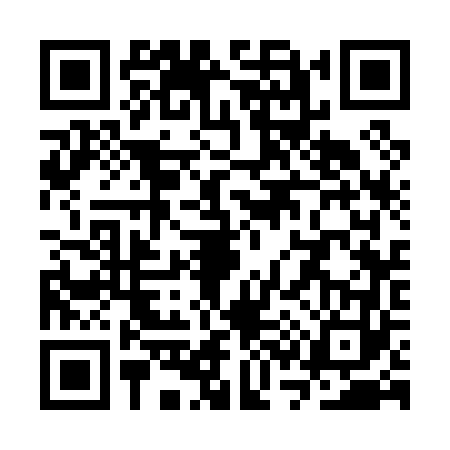 QR code for SS30636