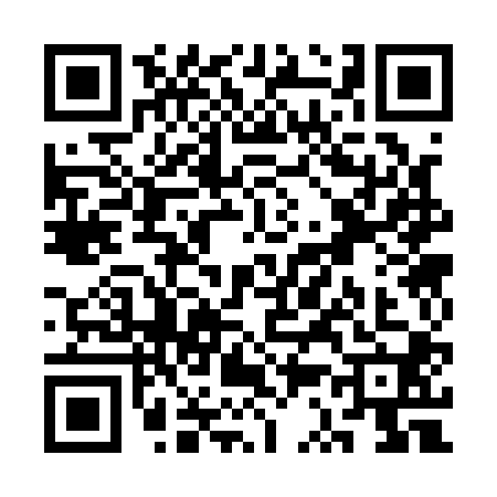 QR code for SS31006