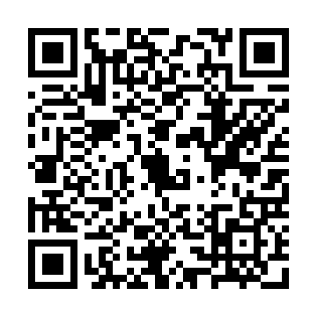 QR code for SS46293