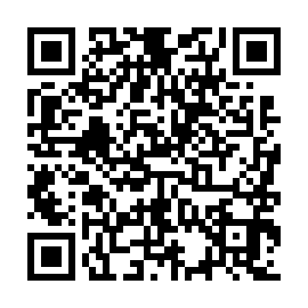 QR code for SS46911