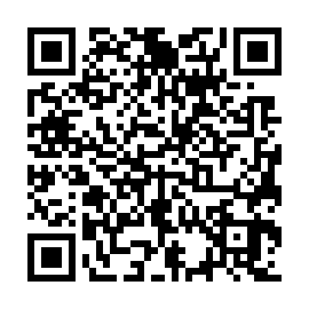 QR code for SS77638