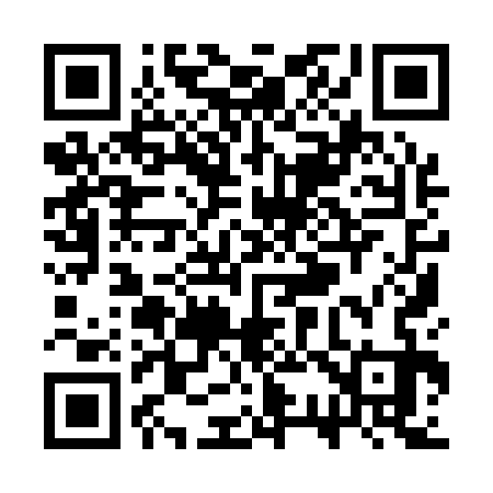 QR code for SS9133