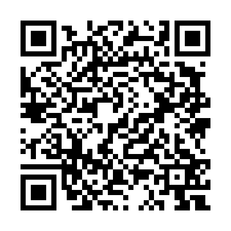 QR code for SS94233