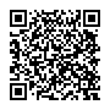 QR code for SSI447
