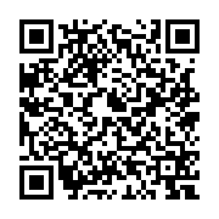 QR code for ST11641