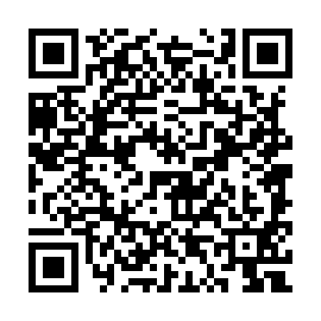 QR code for ST49919