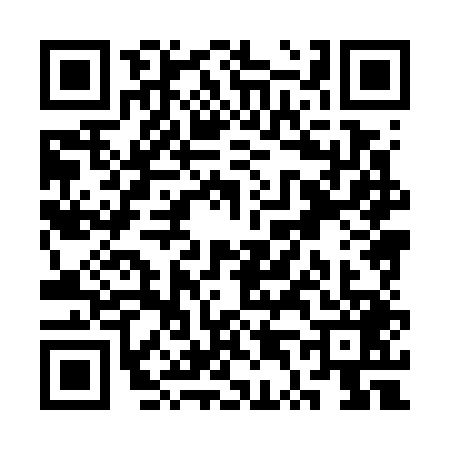 QR code for ST87497