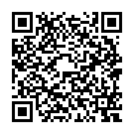 QR code for ST96953