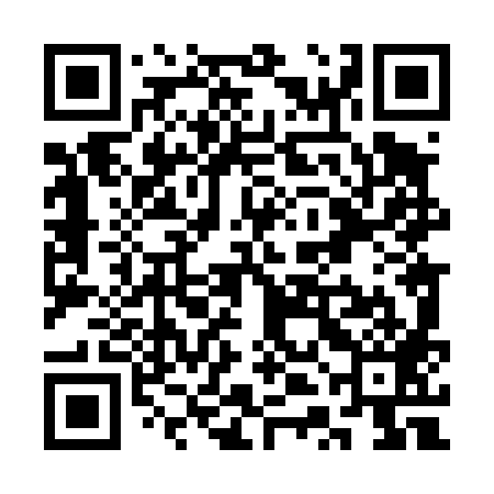 QR code for STL489