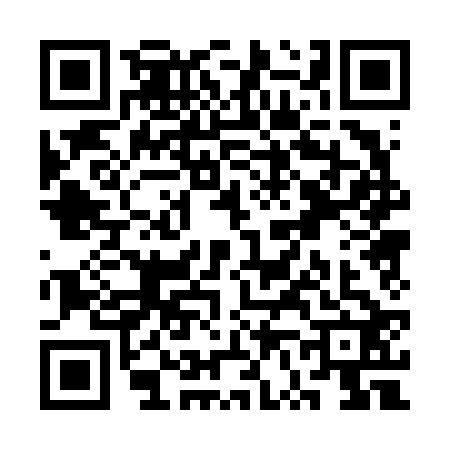 QR code for SV06222