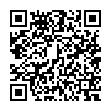 QR code for SV09611