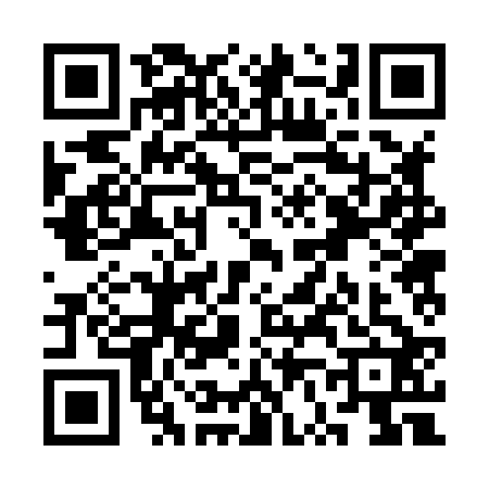 QR code for SV28228
