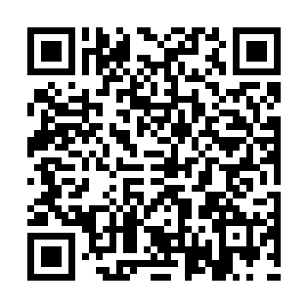 QR code for SV46205
