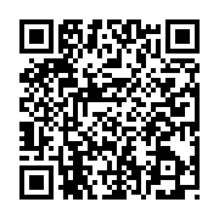 QR code for SV55370